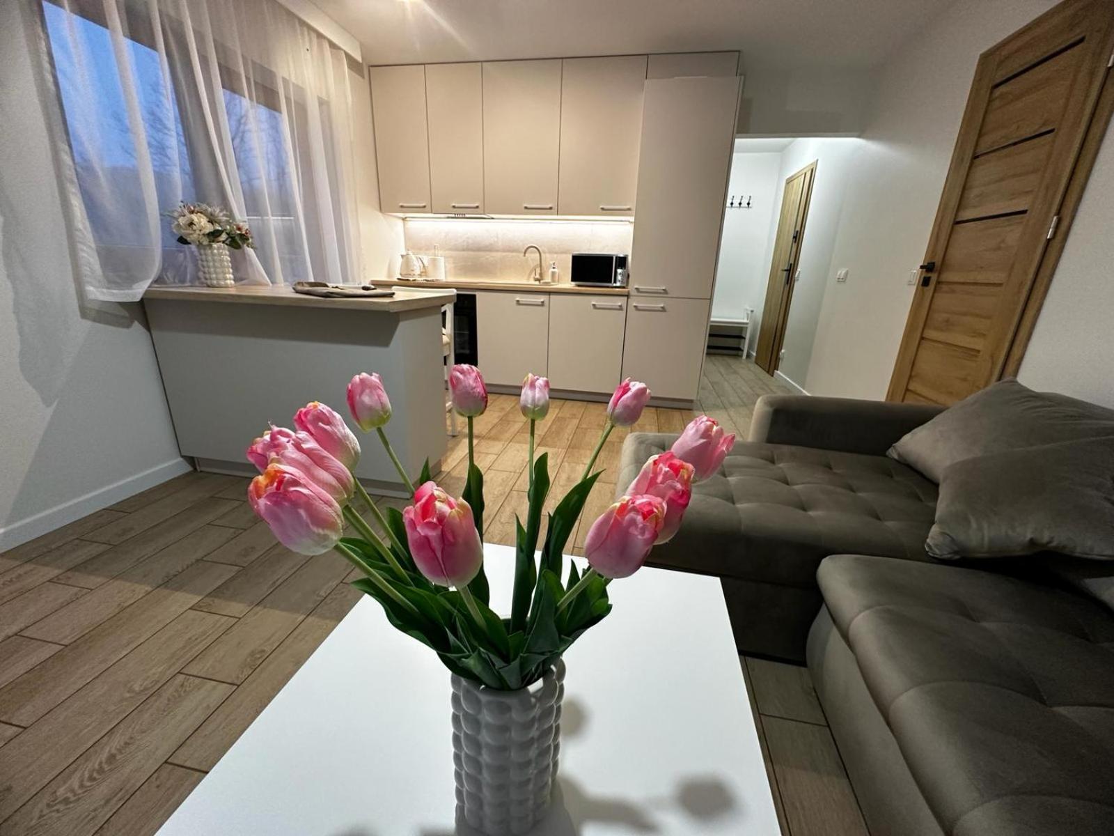 Apartamenty Biala Gran Zakopane Extérieur photo