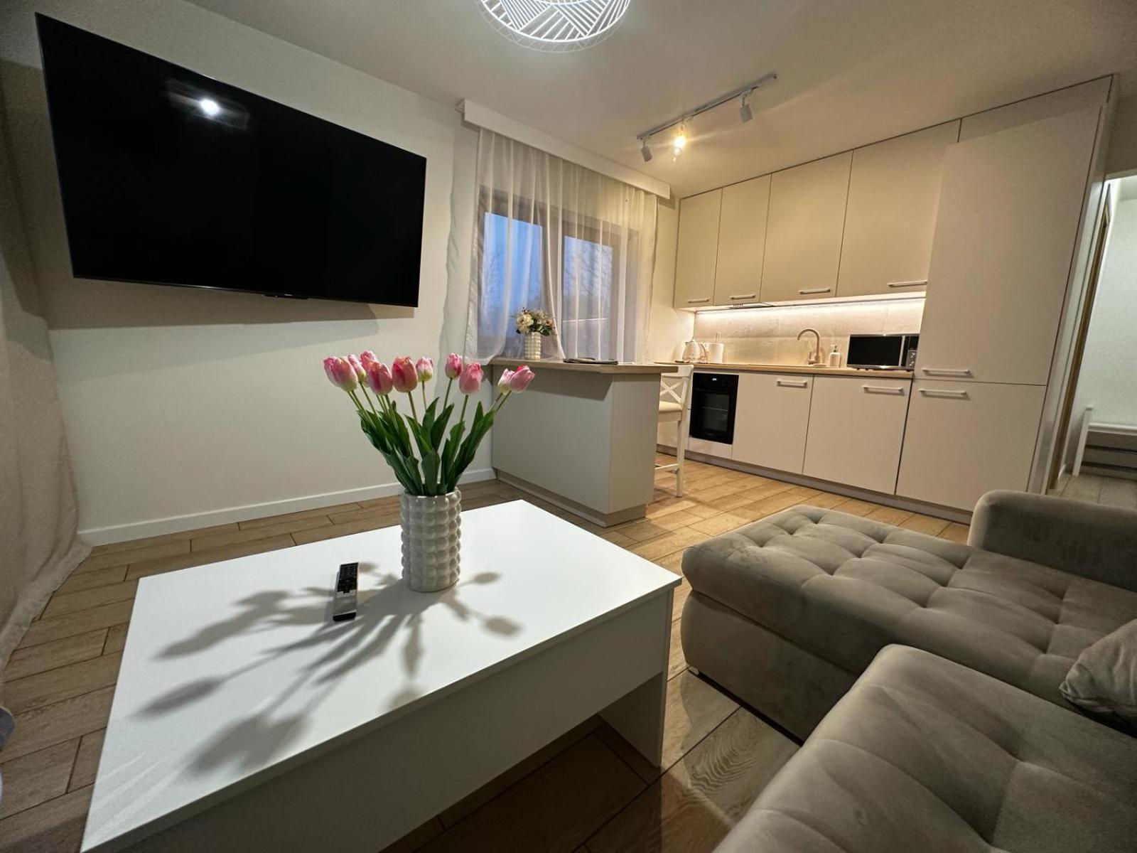 Apartamenty Biala Gran Zakopane Extérieur photo
